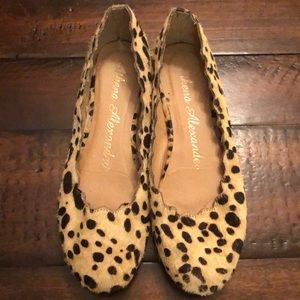 Athena Alexander Toffy Ballet Flat